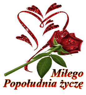 Miłego popołudnia życzę czerwona róża